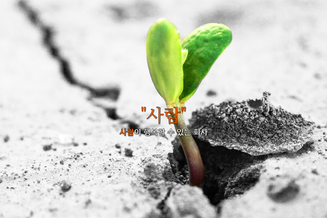 main_visual1.jpg